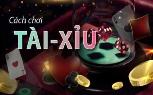 Hiểu rõ luật chơi tài xỉu tại 009 Game